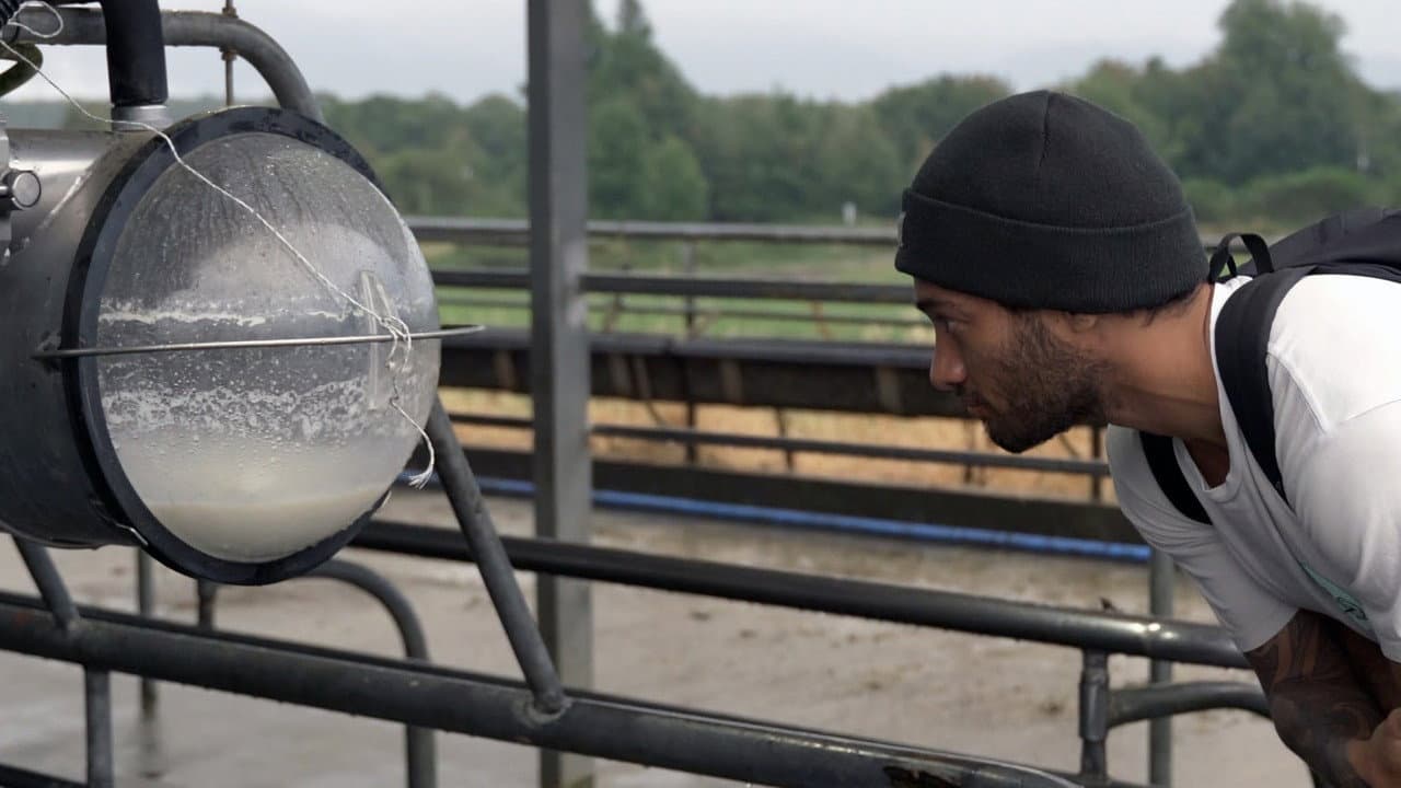 Backdrop – Milked