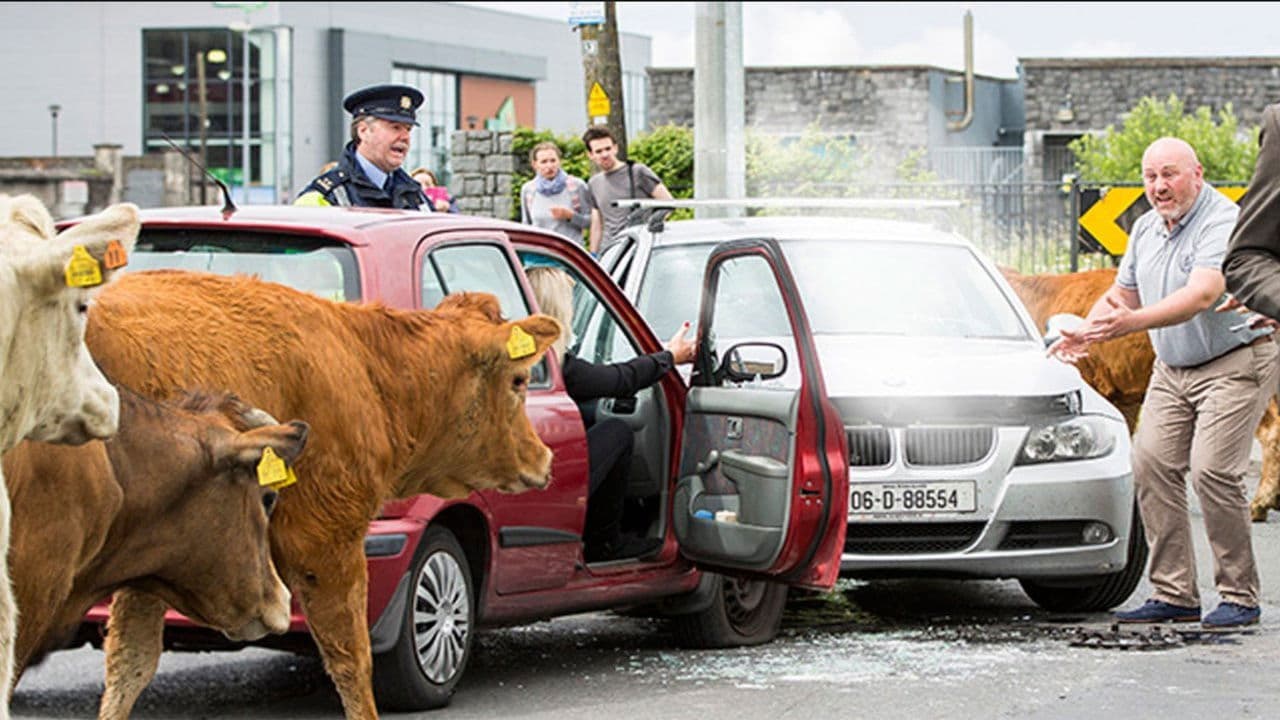 Backdrop – Halaleluja - Iren sind menschlich!