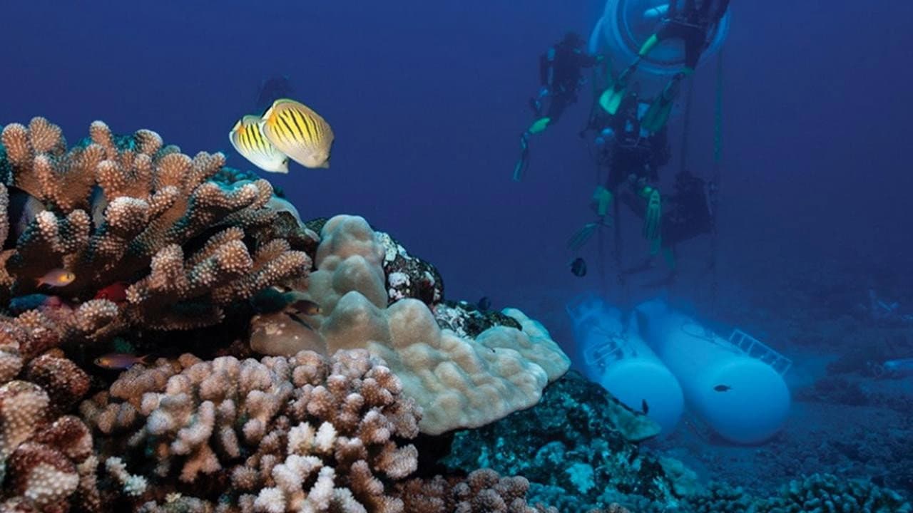 Backdrop – On a dormi sous la mer