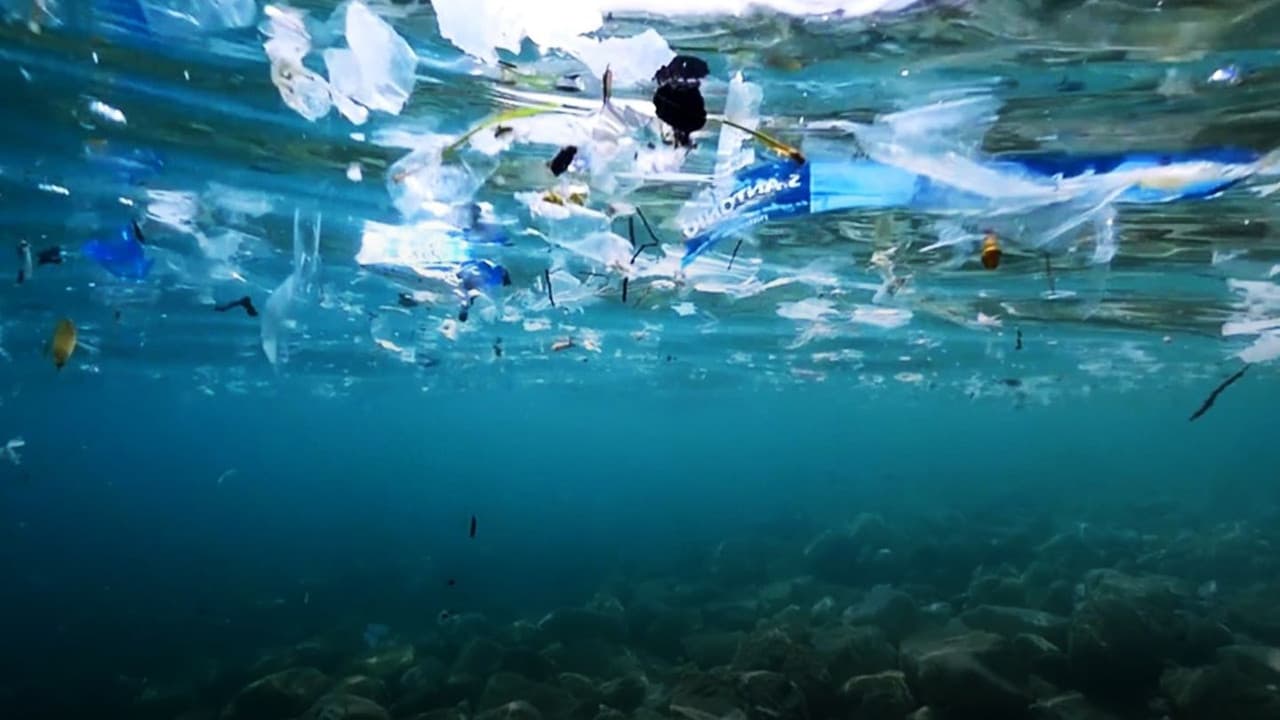 Backdrop – Mikroplastik im Meer - Unsichtbar, aber auch ungefährlich?