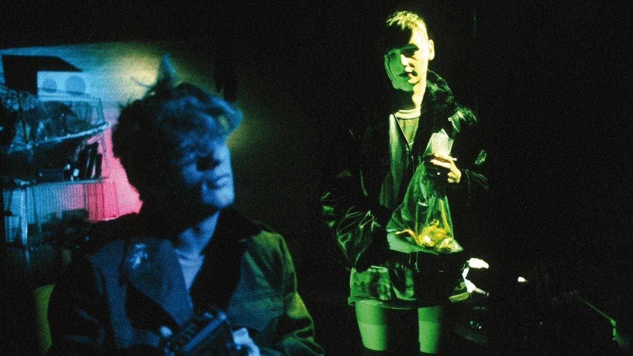 Backdrop – Decoder