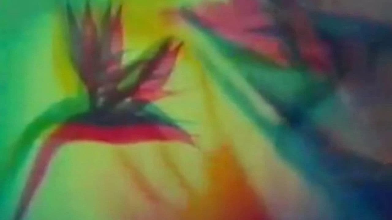 Backdrop – The Psychedelic Experience