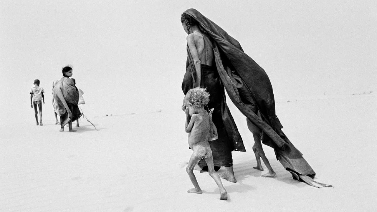 Backdrop – Das Salz der Erde