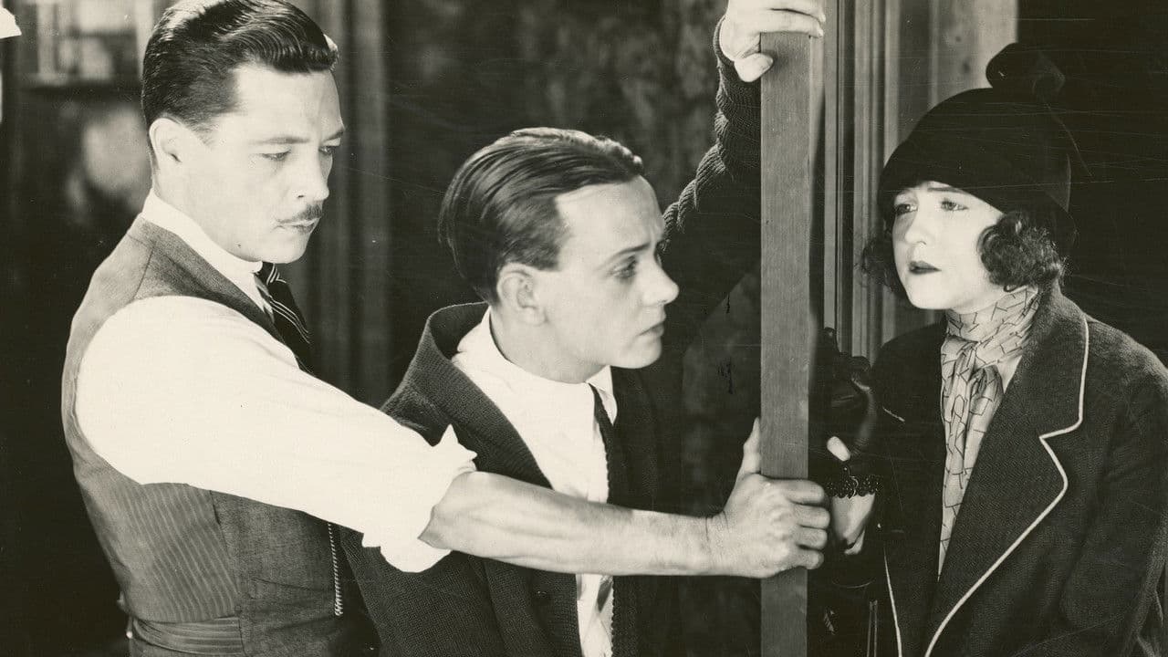 Backdrop – Night Life of New York