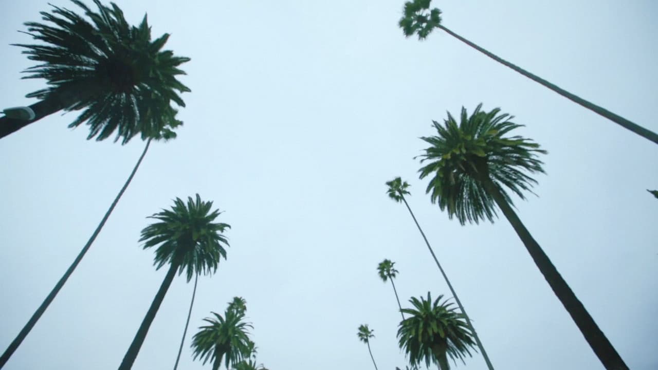 Backdrop – Sleepover LA