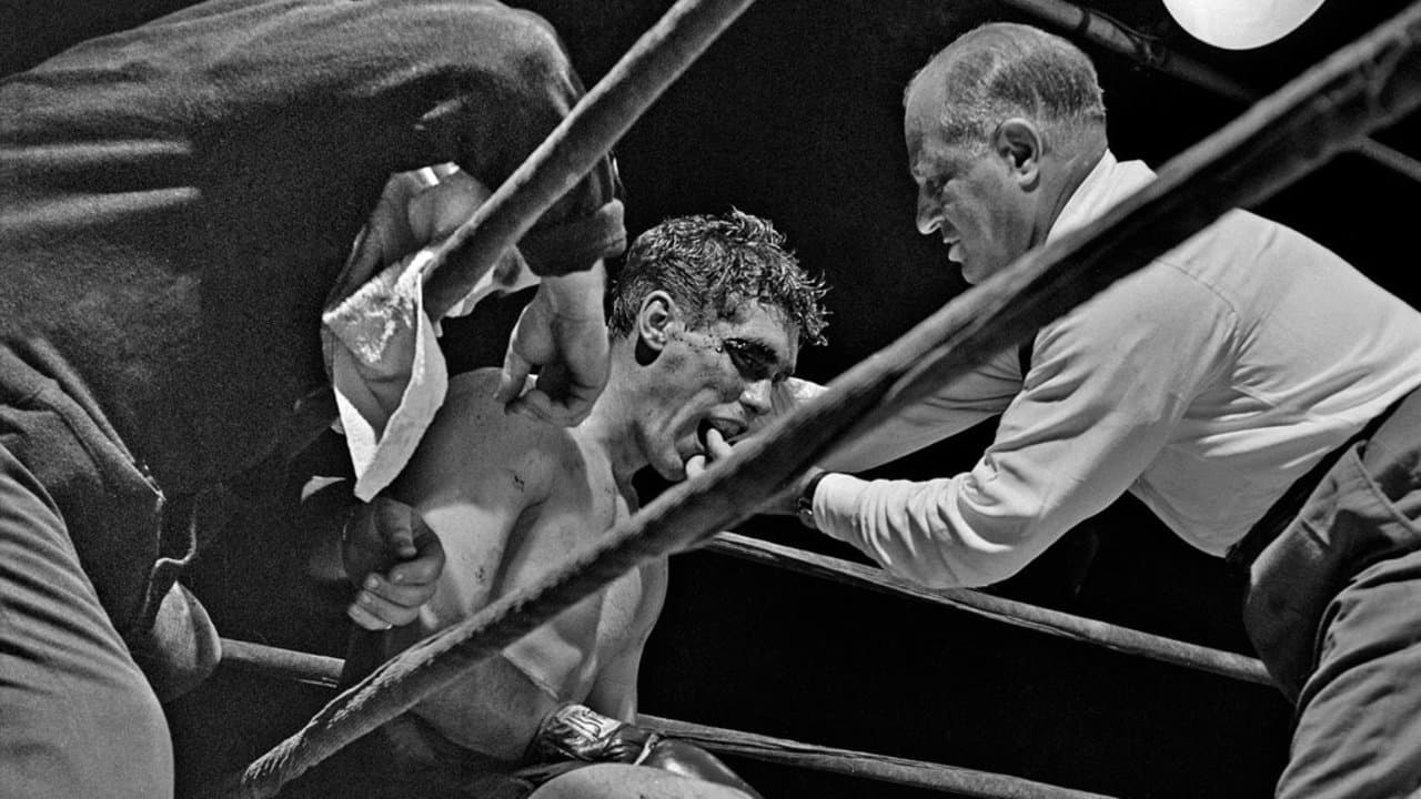 Backdrop – Day of the Fight