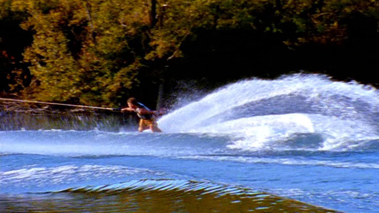 Backdrop – Free 4 All