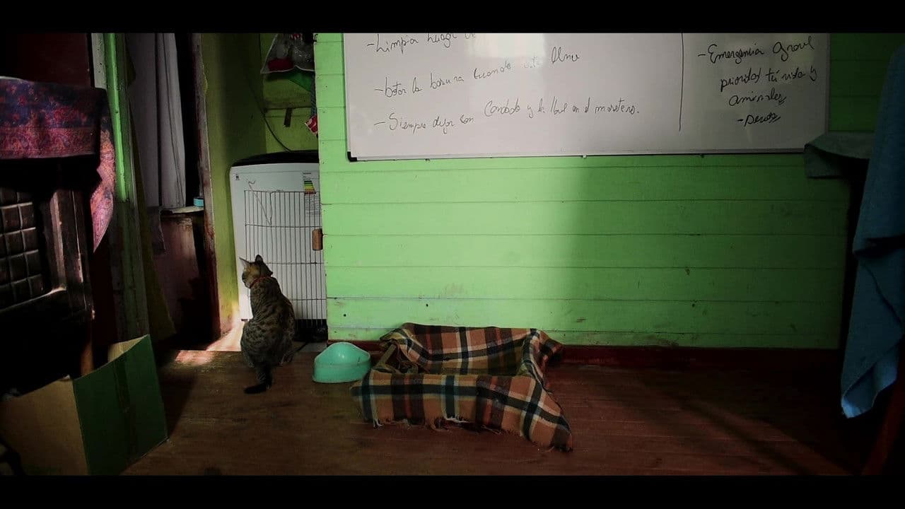 Backdrop – experimento de tiempo y Trufas