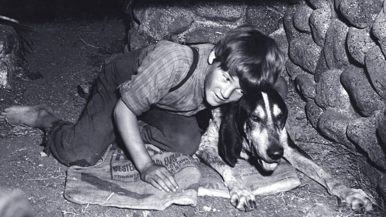 Backdrop – A Boy and His Dog