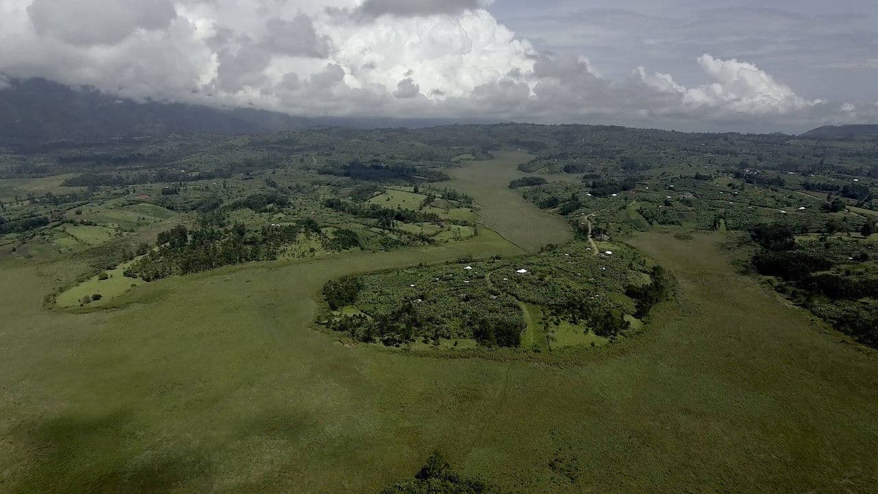 Backdrop – Crazy Money