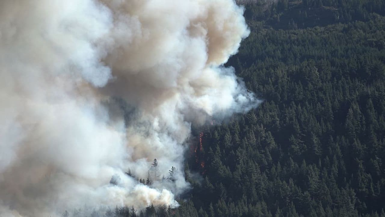 Backdrop – Ecos del Fuego