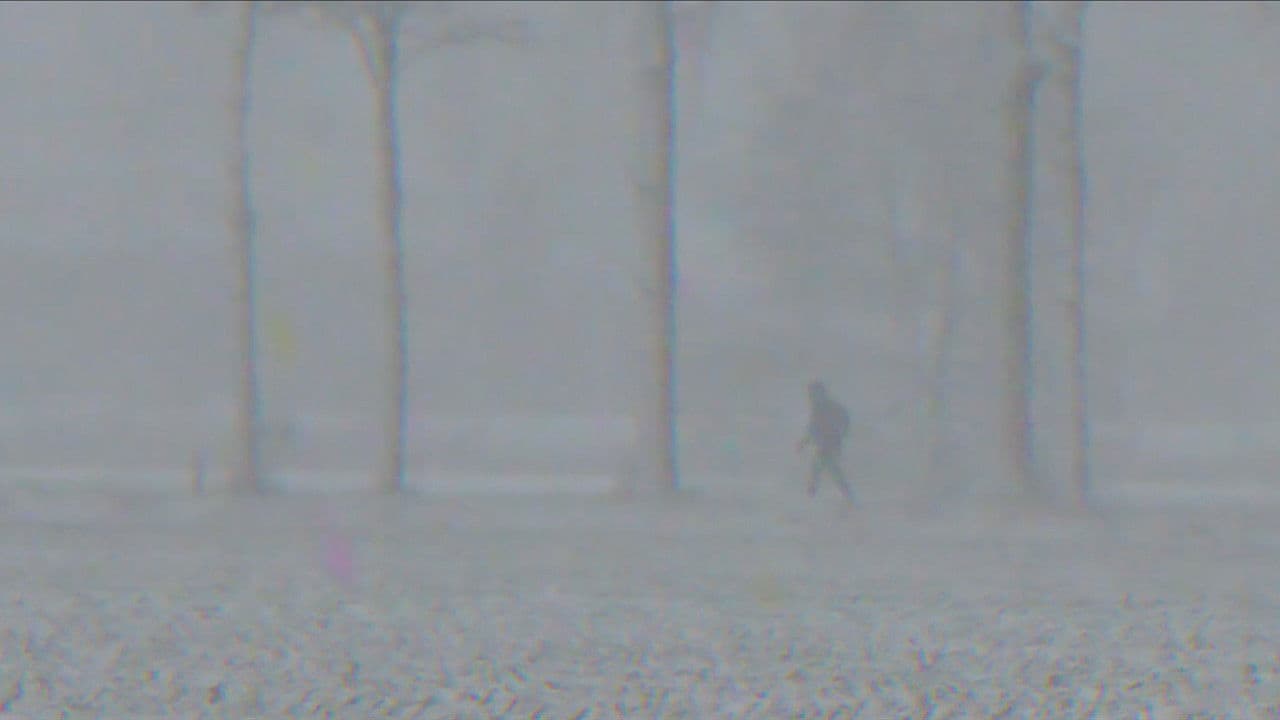 Backdrop – Midwinter Hue