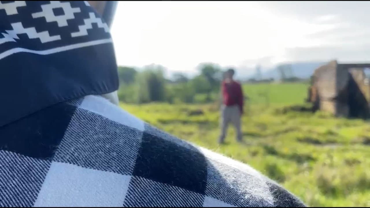 Backdrop – O Campo dos Ambidestros