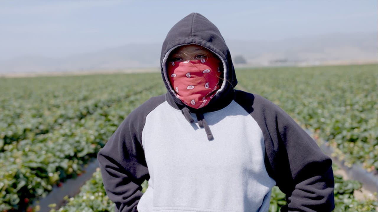 Backdrop – Fruits of Labor