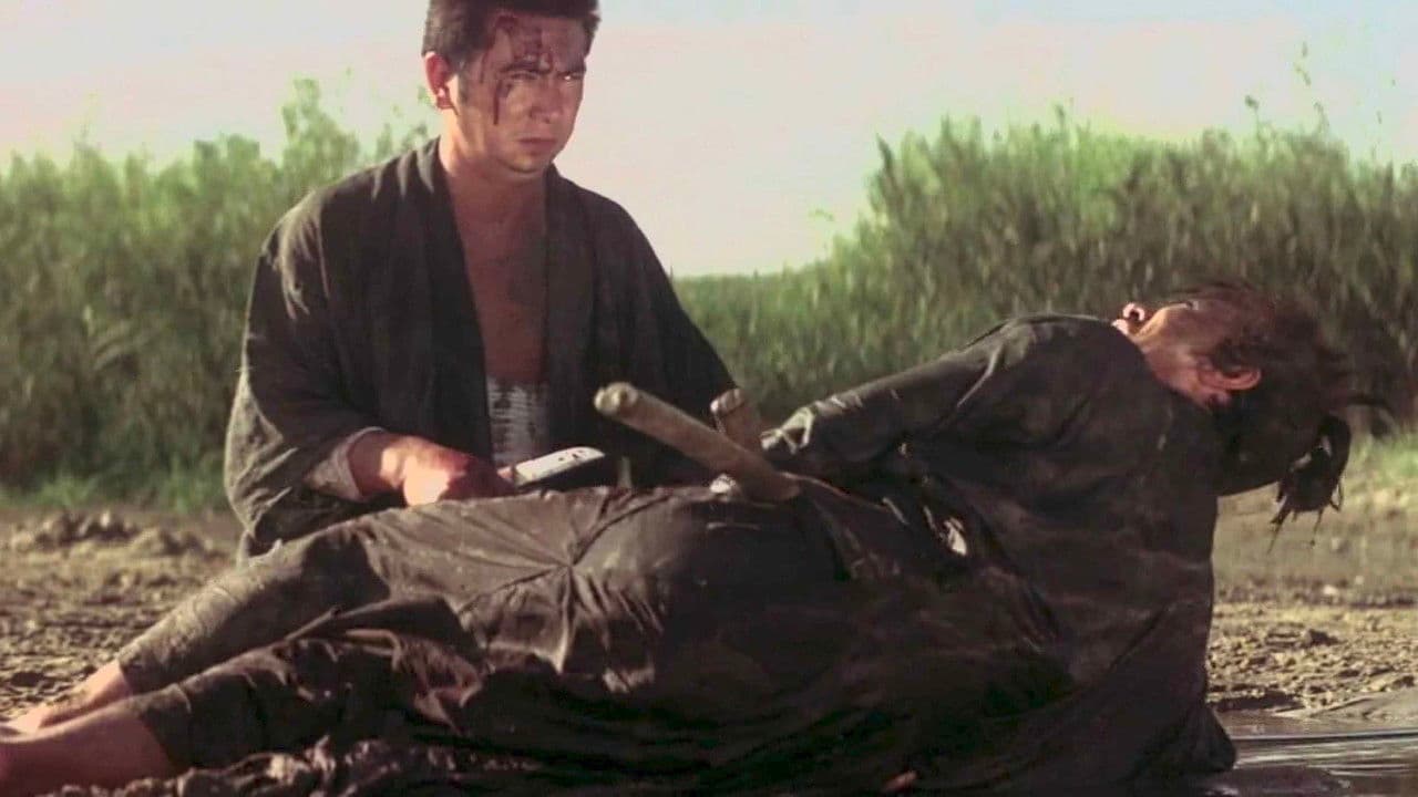 Backdrop – Zatoichi  the Fugitive
