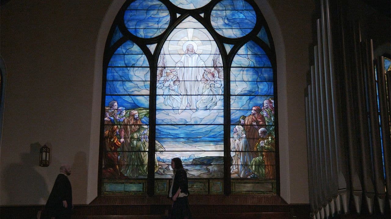 Backdrop – Harmony