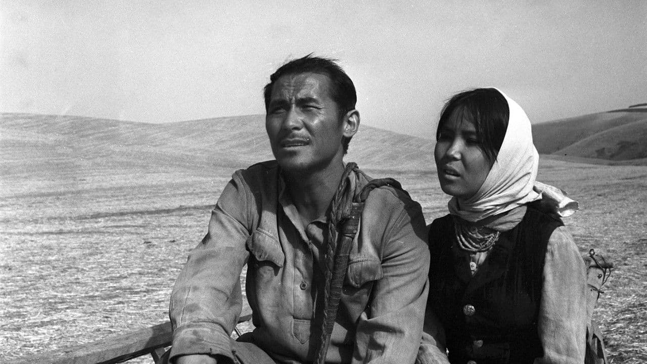 Backdrop – Sehnsucht nach Djamila