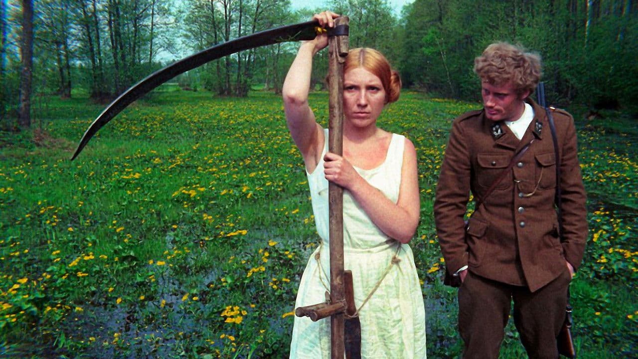 Backdrop – Das Birkenwäldchen