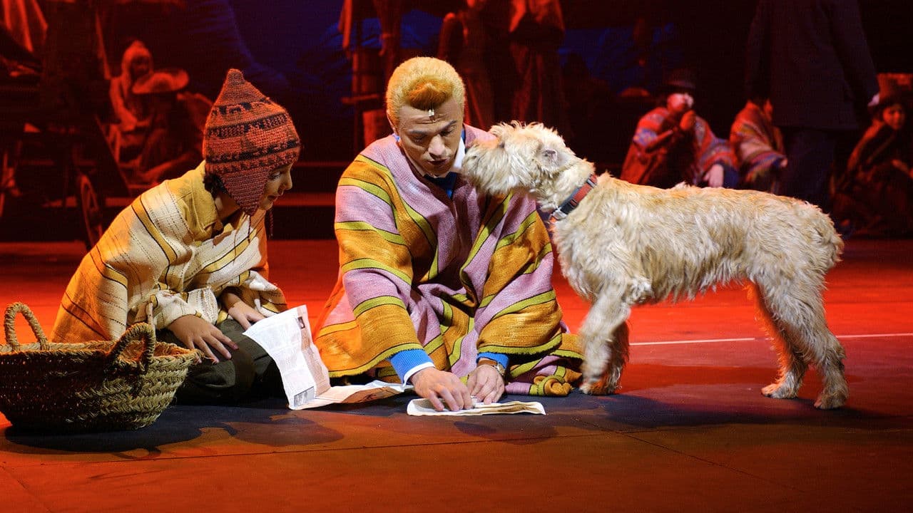 Backdrop – Kuifje: De Zonnetempel, De Musical