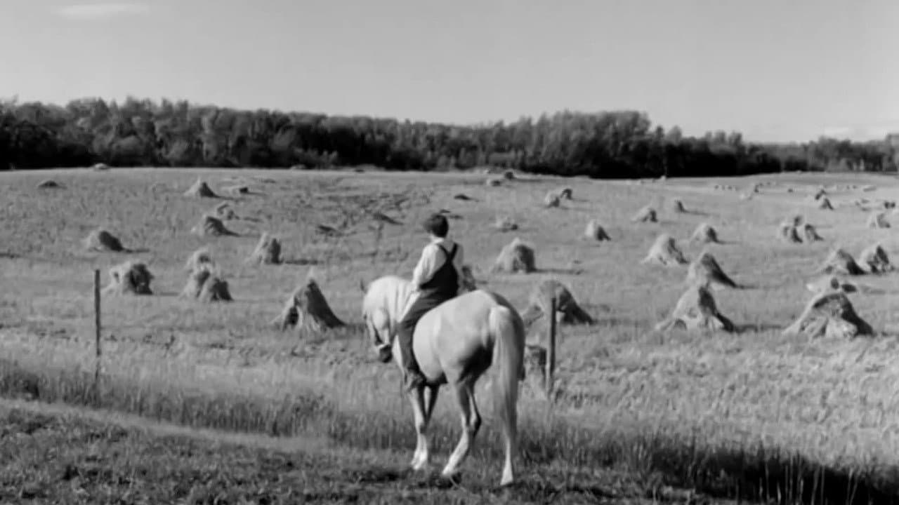 Backdrop – Cornet at Night
