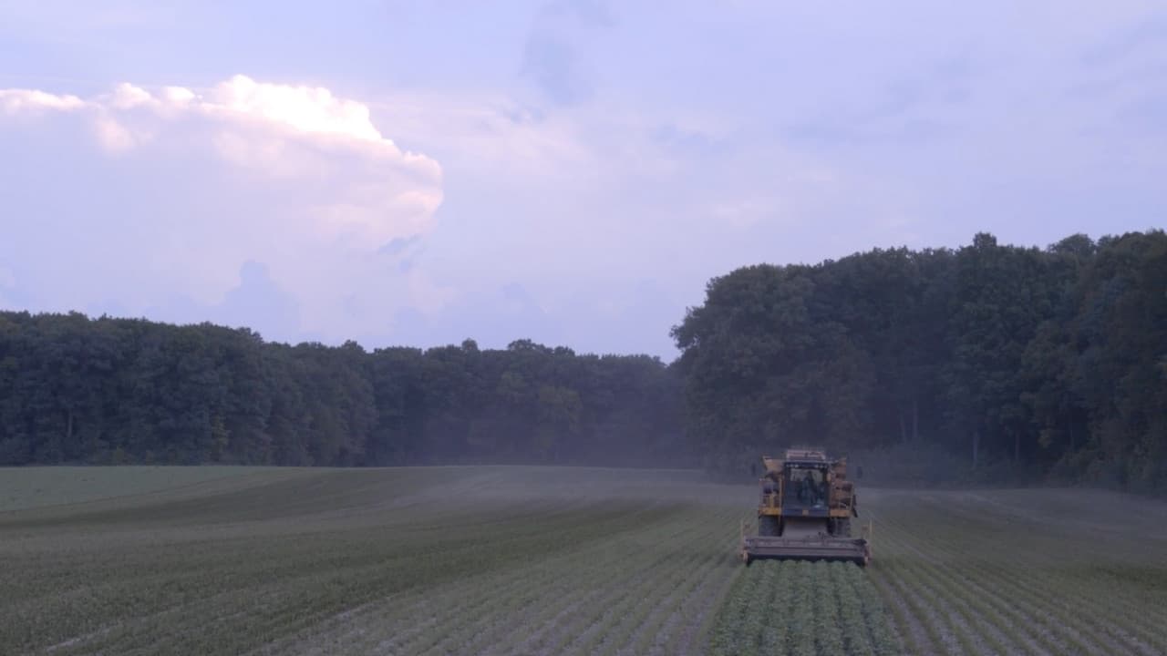 Backdrop – Can You Hear Us Now?