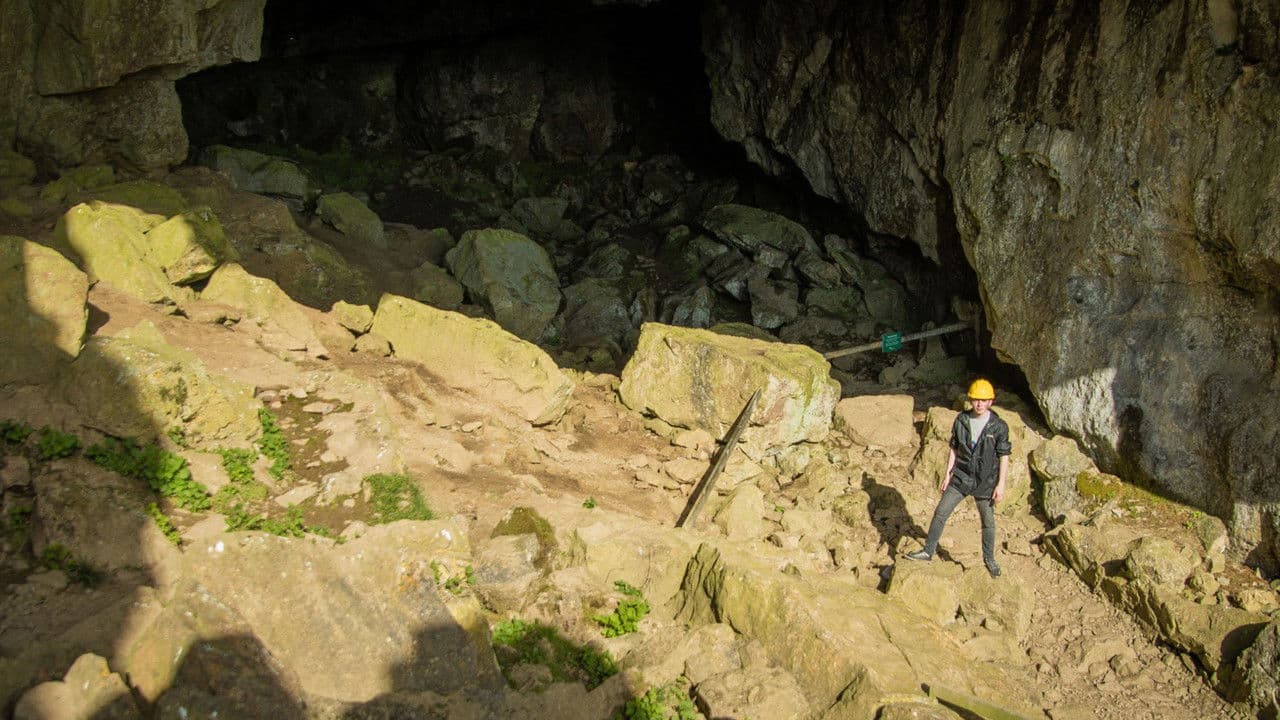 Backdrop – Bear Hunt