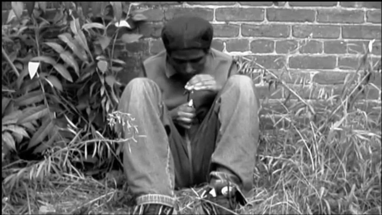 Backdrop – Shigara