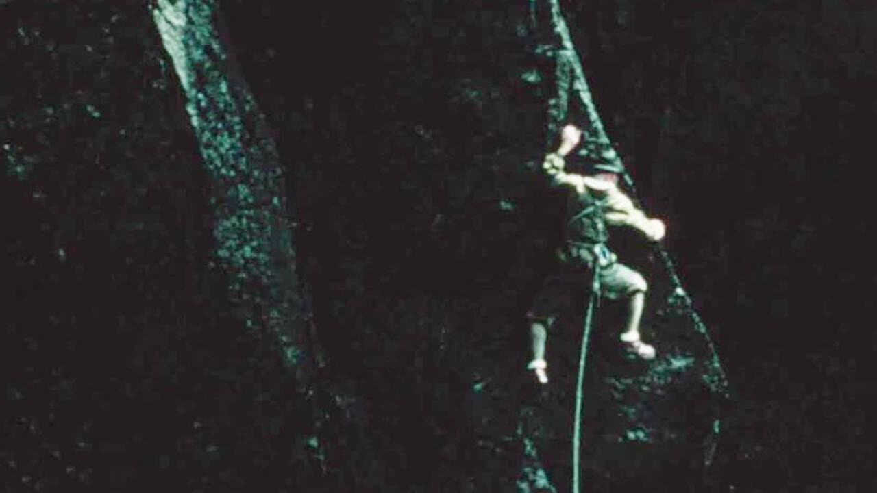 Backdrop – Arrowhead