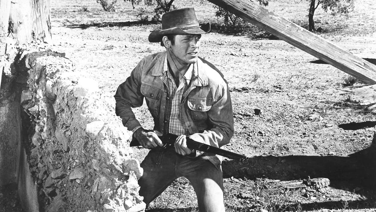 Backdrop – Heiße Colts in harten Fäusten