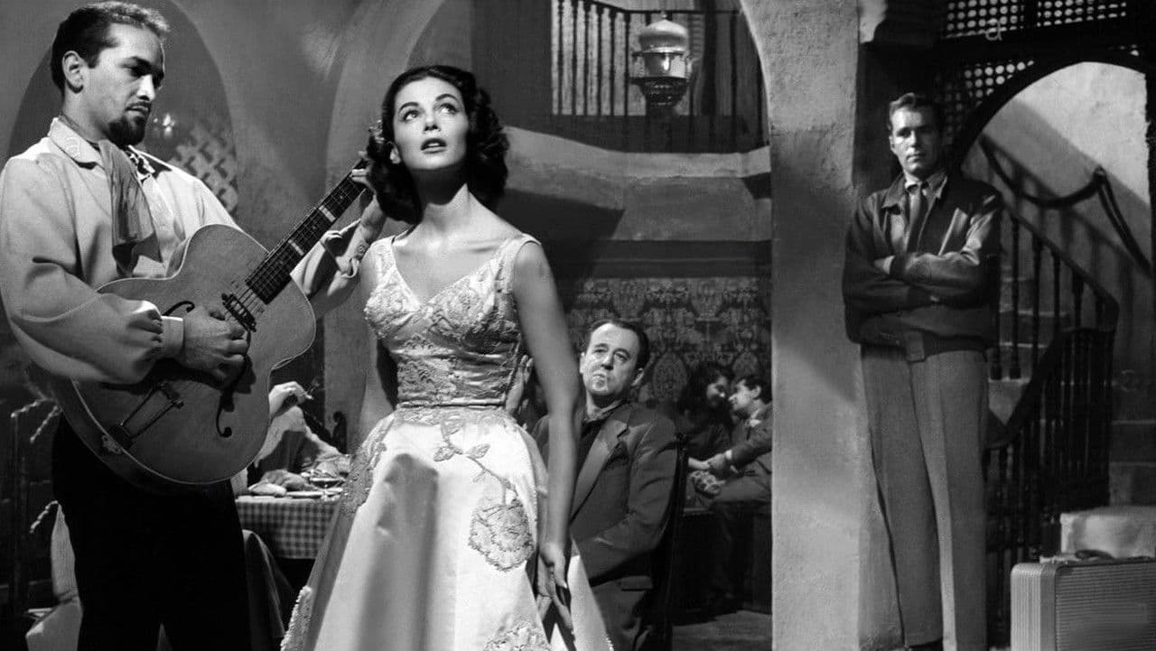 Backdrop – Port Afrique