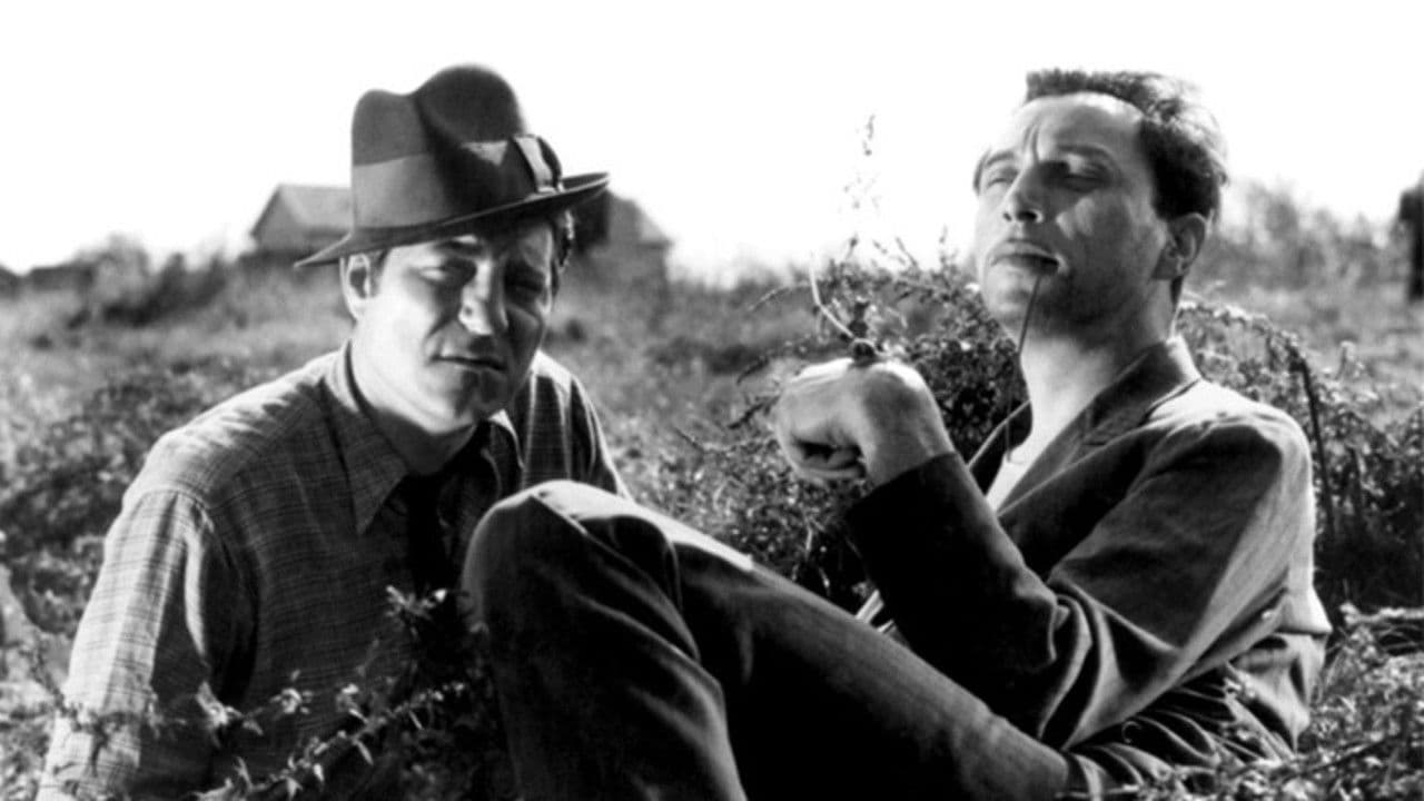 Backdrop – Nachtasyl