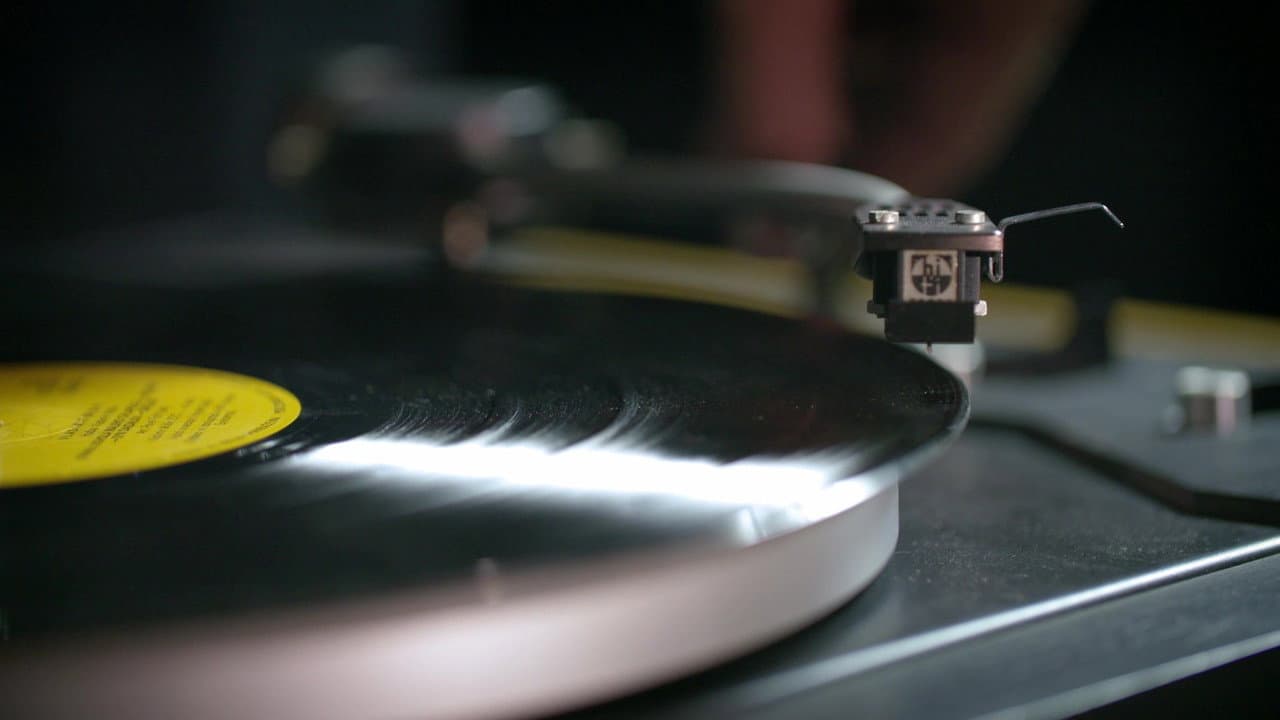 Backdrop – Vinyl