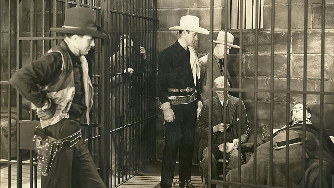 Backdrop – Stampede