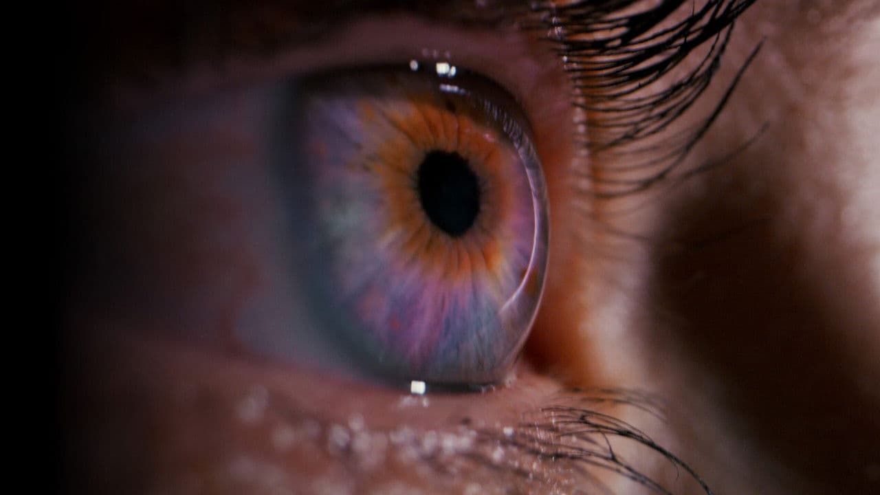 Backdrop – El gran aviso