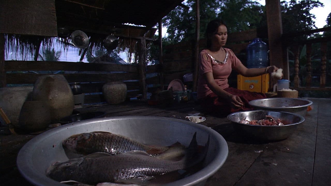 Backdrop – 슈퍼피쉬 - 끝없는 여정