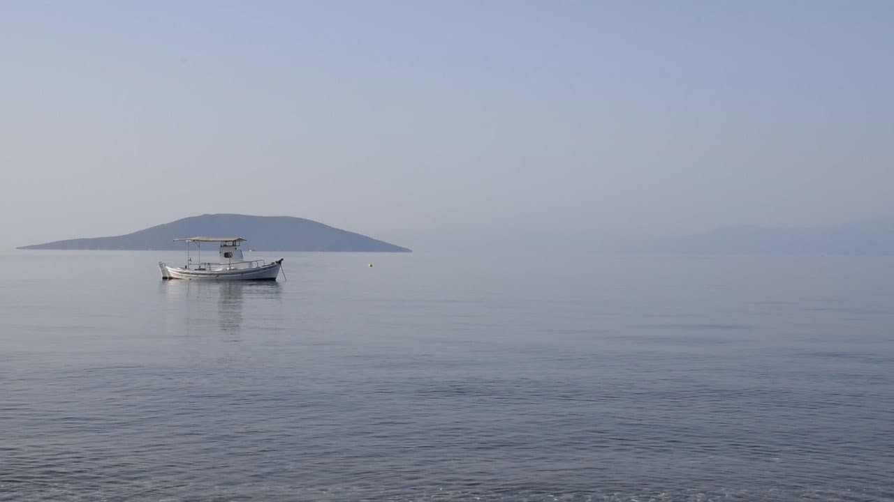 Backdrop – 84 Μέρες Καλοκαιριού
