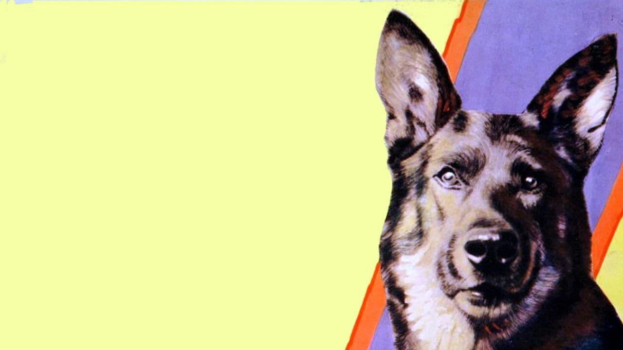 Backdrop – On the Border