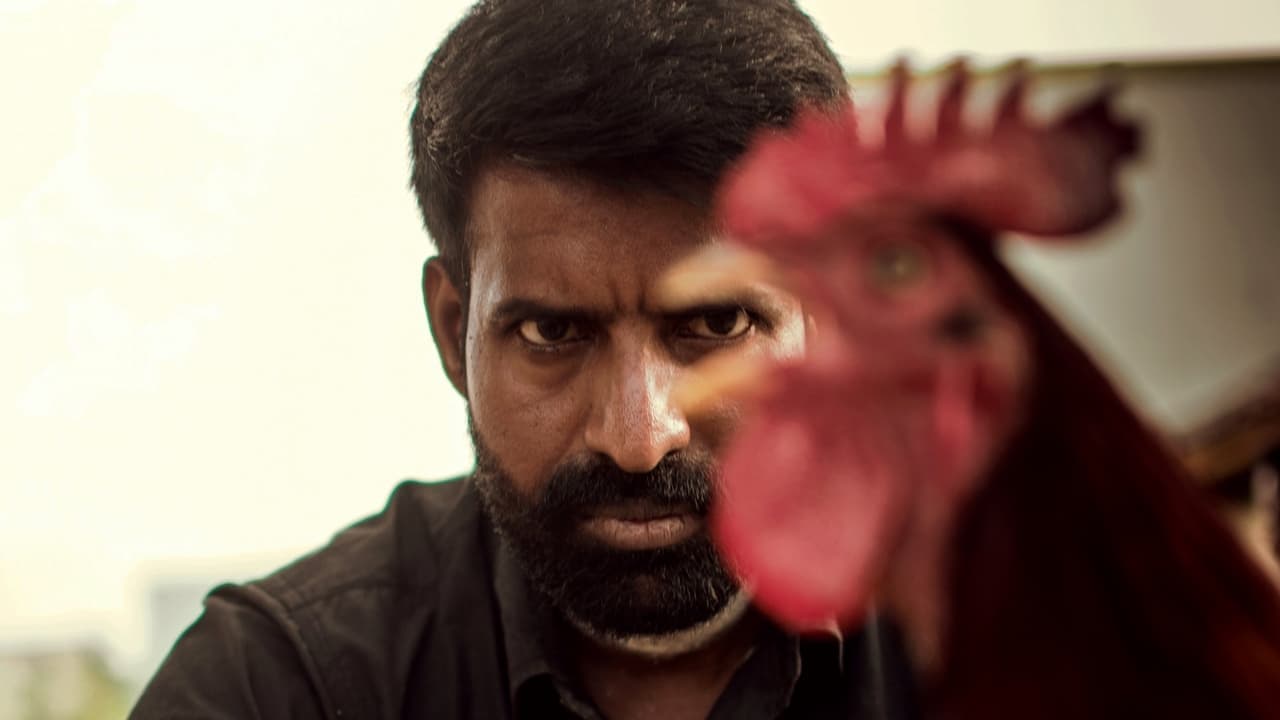 Backdrop – கொட்டுக்காளி