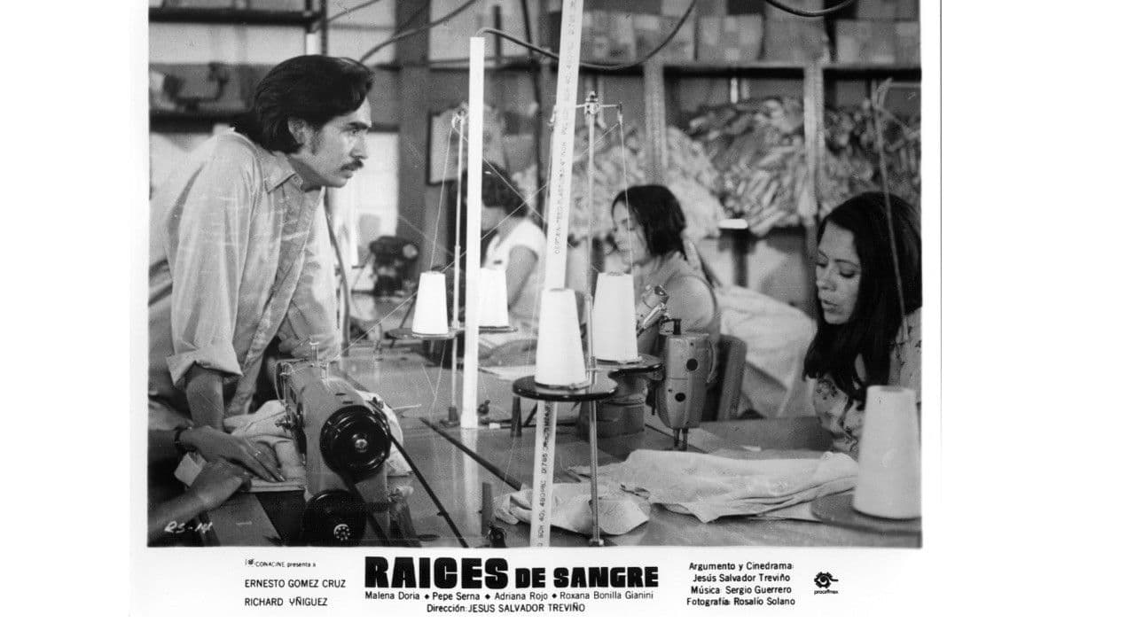 Backdrop – Raíces de sangre