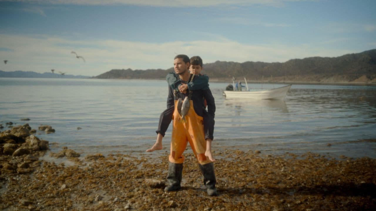 Backdrop – Una mano bajo la nieve y otras historias