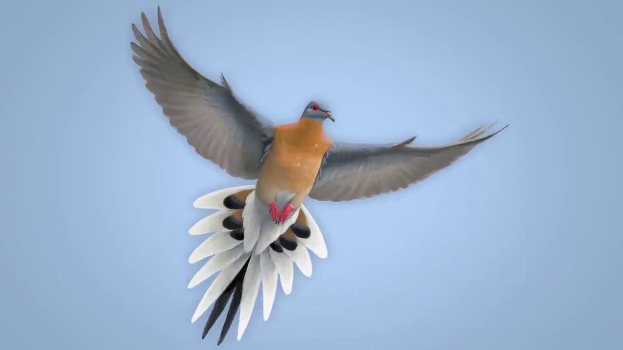 Backdrop – From Billions to None: The Passenger Pigeon's Flight to Extinction