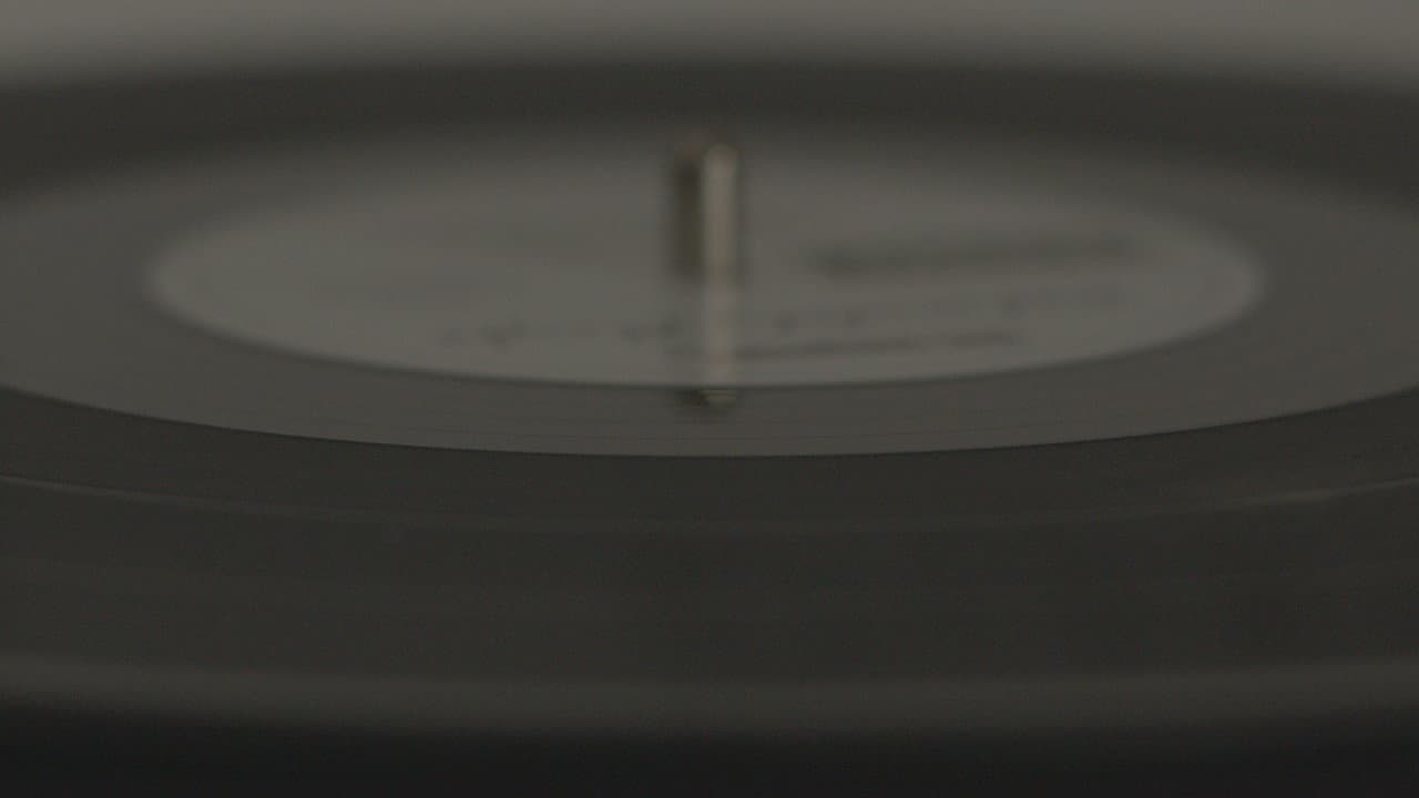 Backdrop – The Vinyl Player