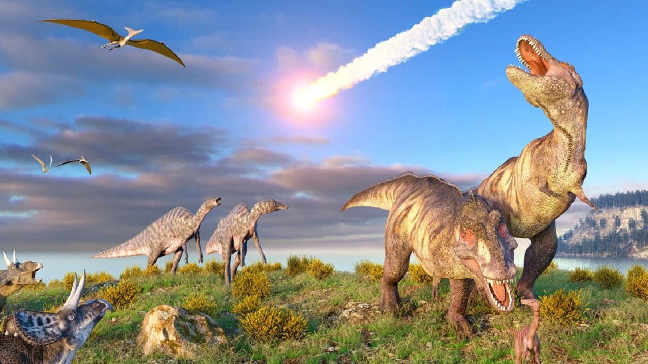 Backdrop – Le Big Bang Des Dinosaures