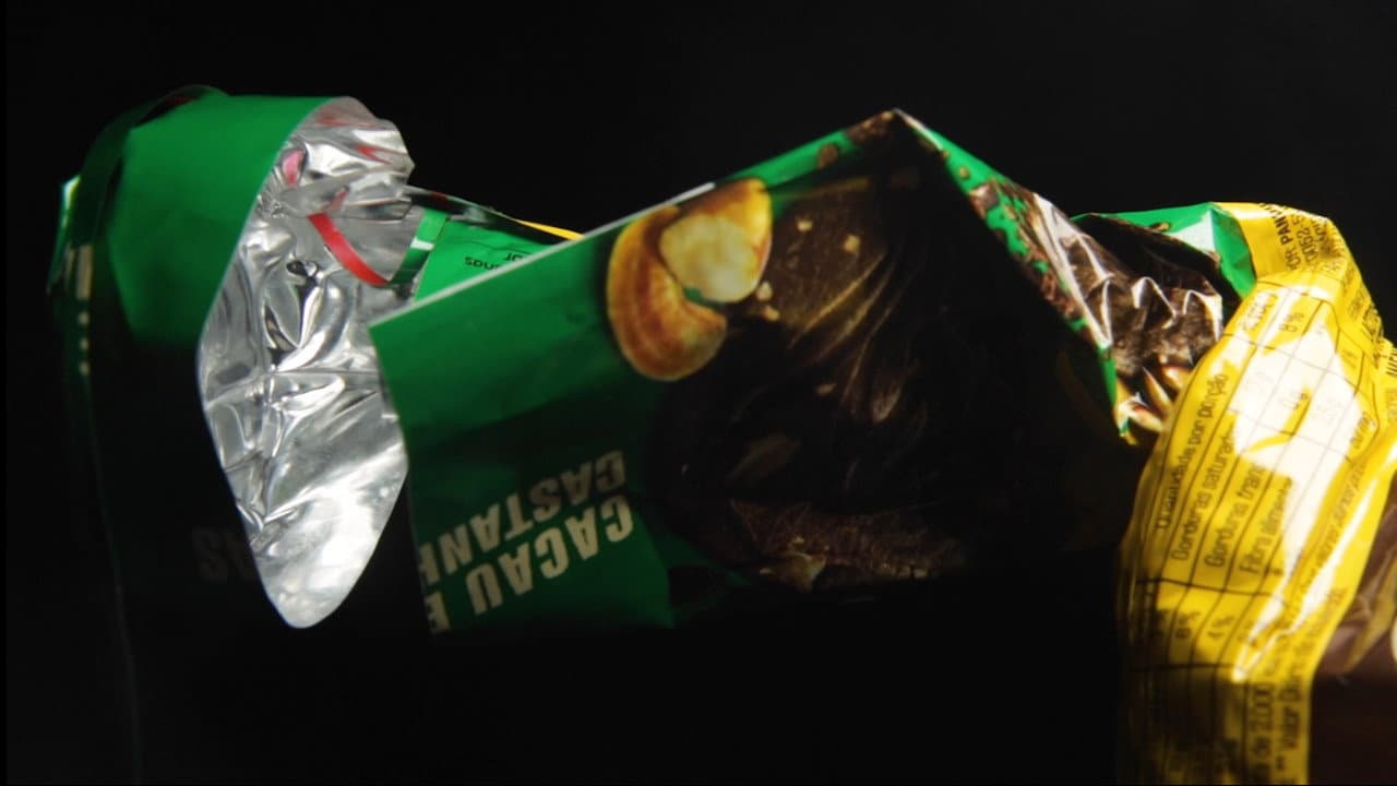 Backdrop – Flores Falsas