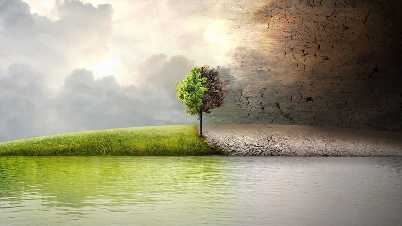 Backdrop – Before the Flood