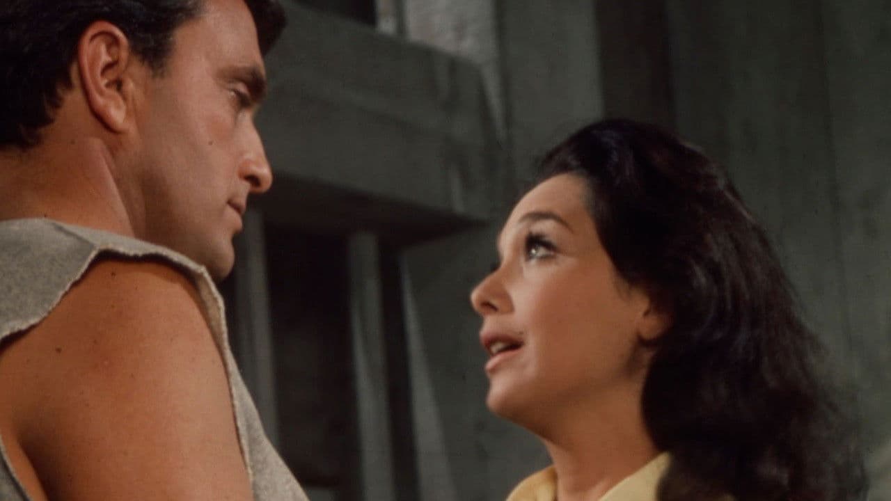 Backdrop – Das Netz der Spinne