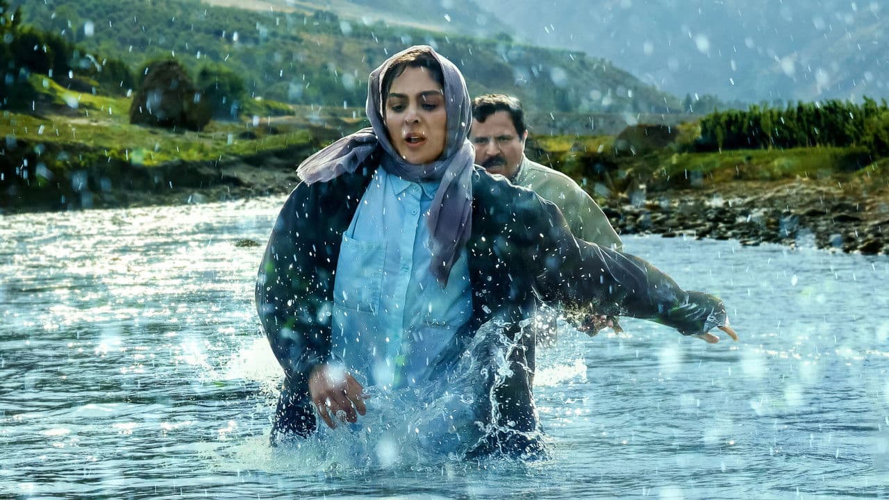 Backdrop – در آغوش درخت