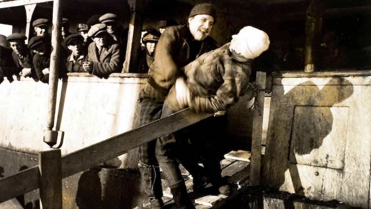 Backdrop – The Viking