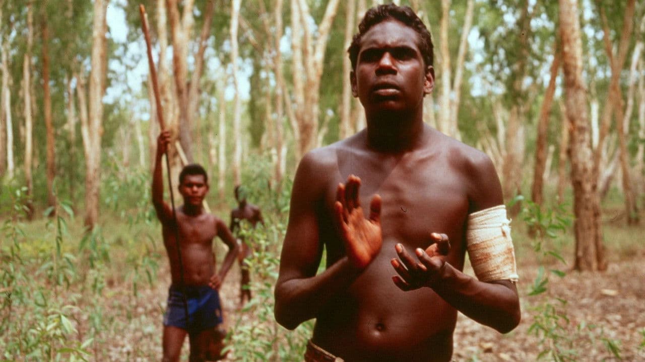Backdrop – Yolngu Boy