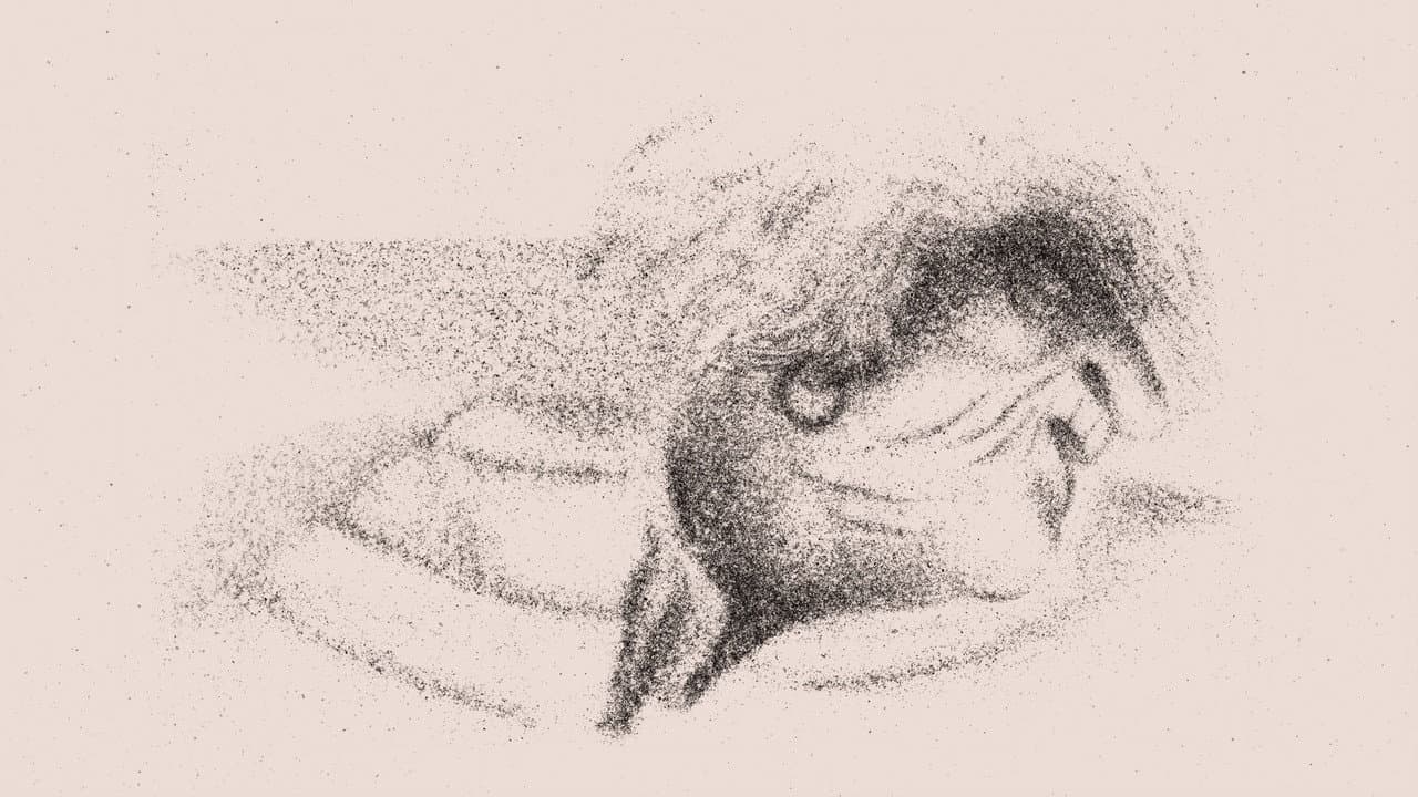 Backdrop – Chloé Van Herzeele